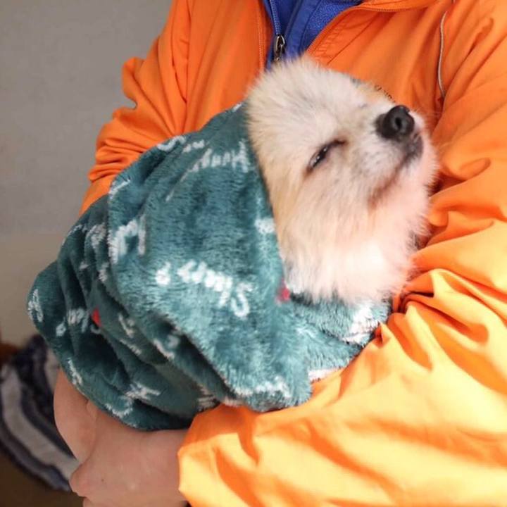 318b2adf ee38 4db4 a678 5b168eabf3f3