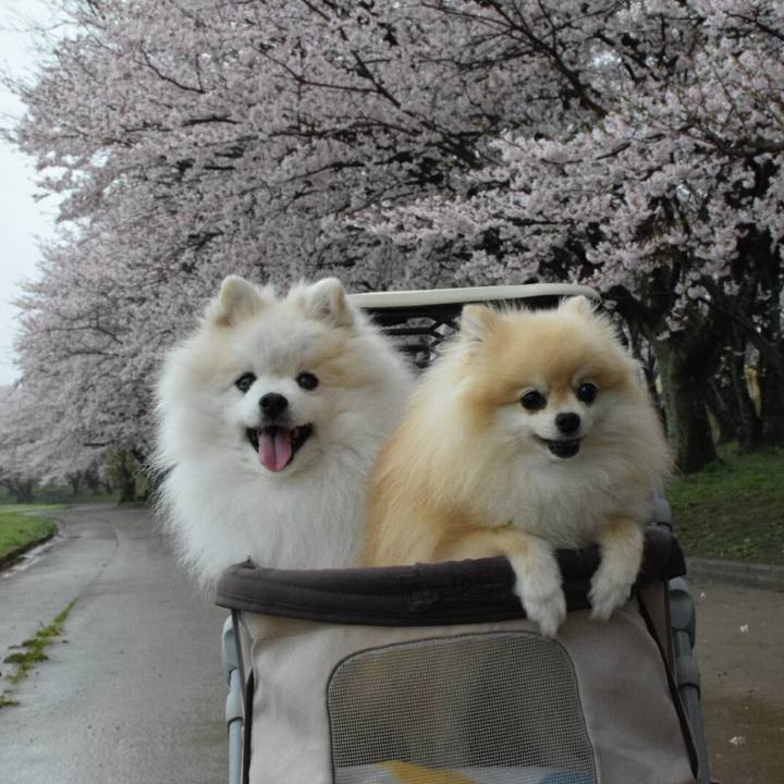 318b64fe 8705 4270 8d7c 6c2845fbd550