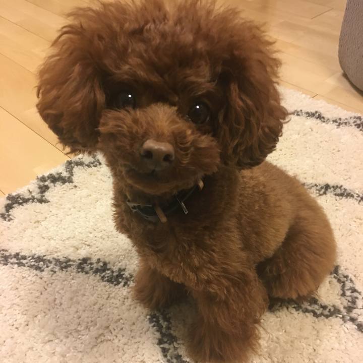 318c3758 caea 47c7 b2ad 08e3c75c5369