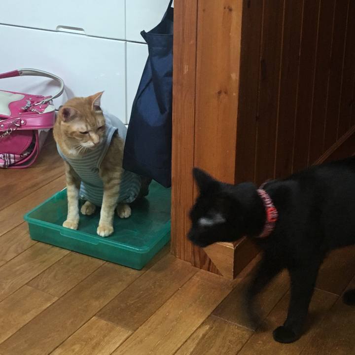 318cb0c9 3ed4 4140 be27 0a2607782e10