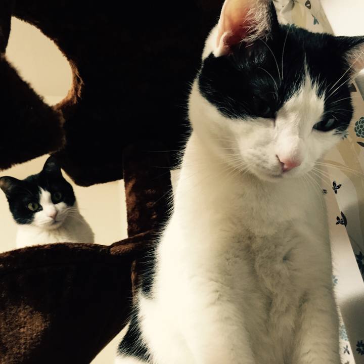 318d34f5 7ae7 4846 ae8f db722383ac80