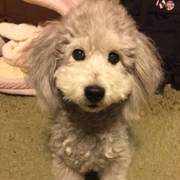 318d67d1 e52c 4b02 8791 c2b61b97a7bd