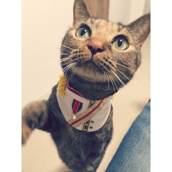 318e1f22 fbc0 4490 ae2e c4f167401a9f