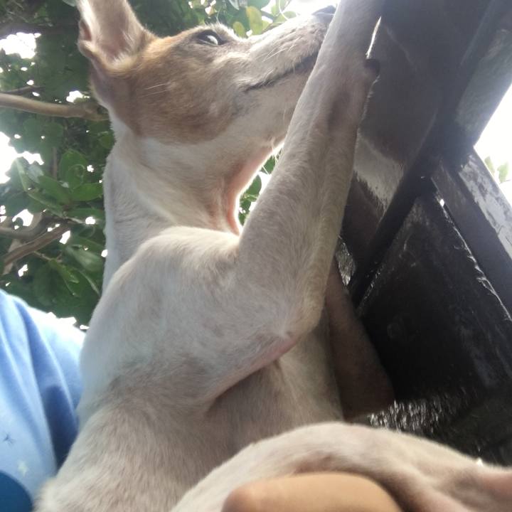 318e7178 555e 4690 a80e 134a6fb1d7fa