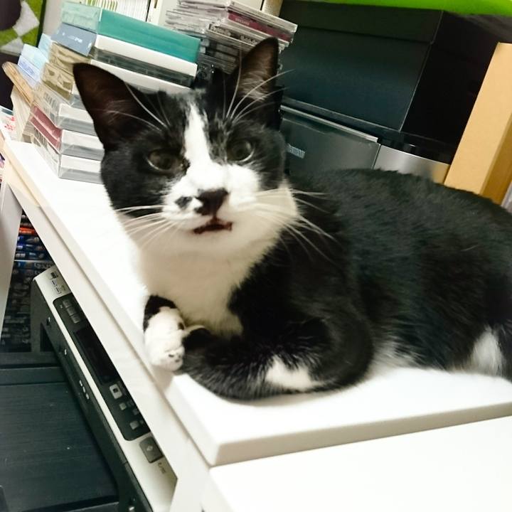 318f39f2 0bbd 4397 84da 342d1849d6ca