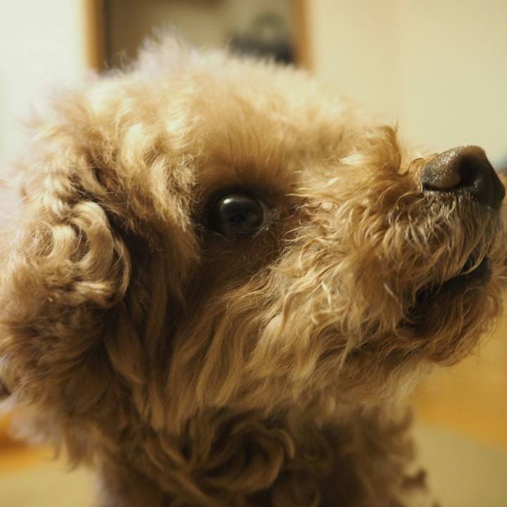 318f5f0e 0099 414c 8687 1492bedf9590