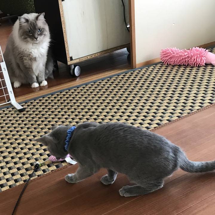 3190c5c0 89cf 44a9 87bf 004ebd9c72e8