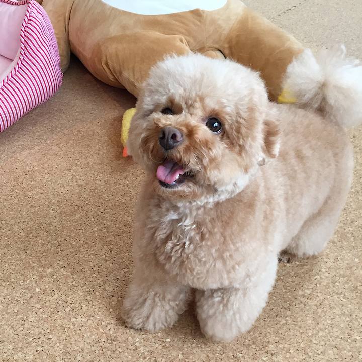 31910c30 22fd 4a59 9037 d80e1bccd9f1