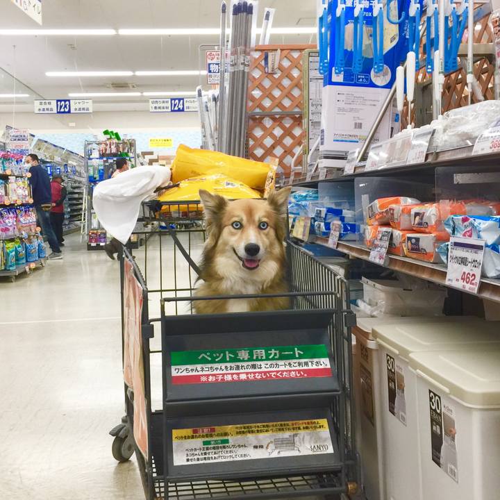 31910cd0 81c6 4a12 be37 79843efcf0e6