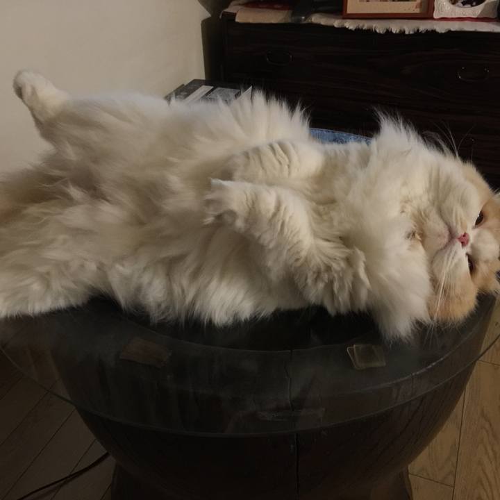 31914cd4 76d3 4bb0 a688 f725579dedac