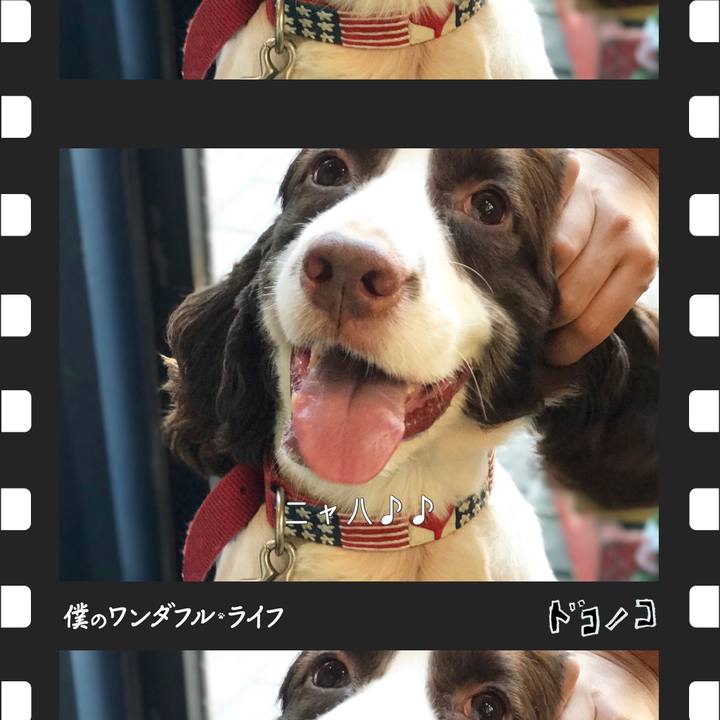 3191556a 5a31 49d8 93d4 e9eb7902aae1