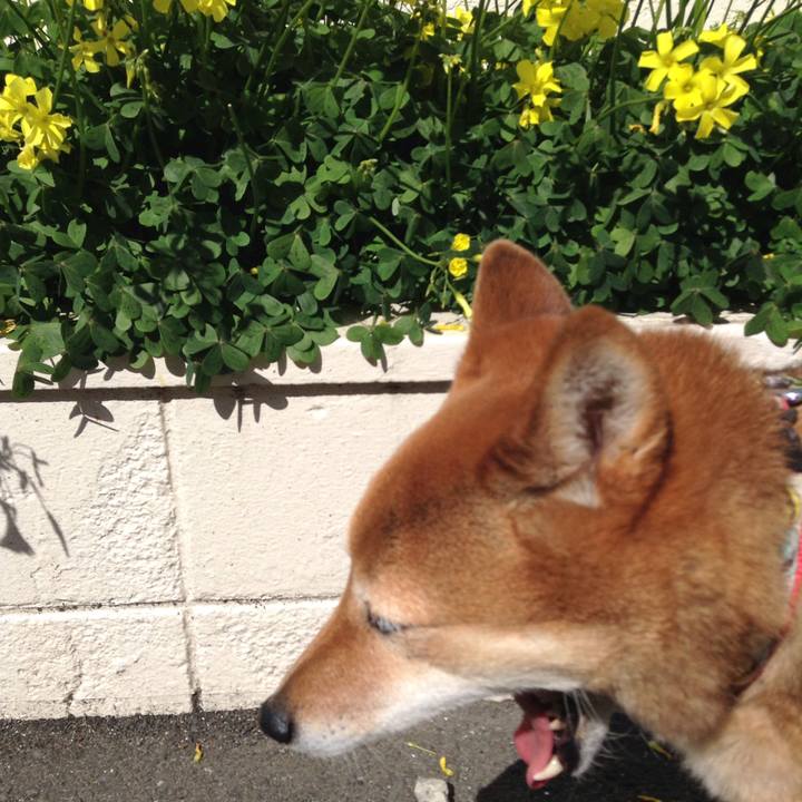 3191e3dc 8cb8 4bf7 9e11 b075256247c2