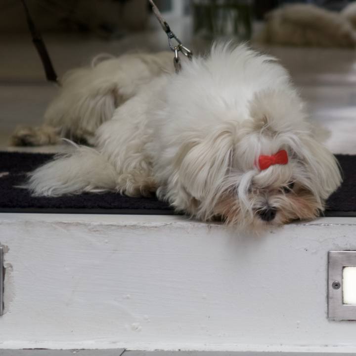 3193027f d151 41ca 9ccf 9f6f73c2925b