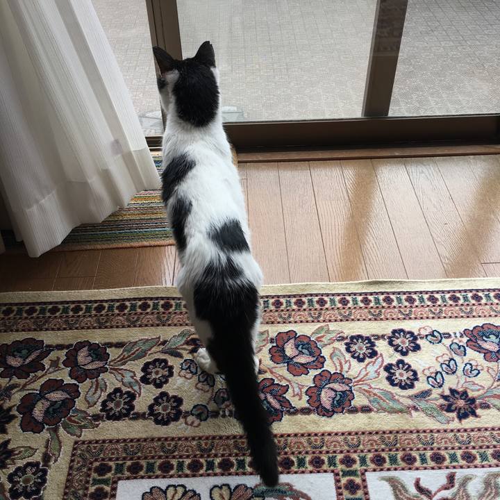 3193d3e9 dcba 4449 8e50 56a1b06bd0a8