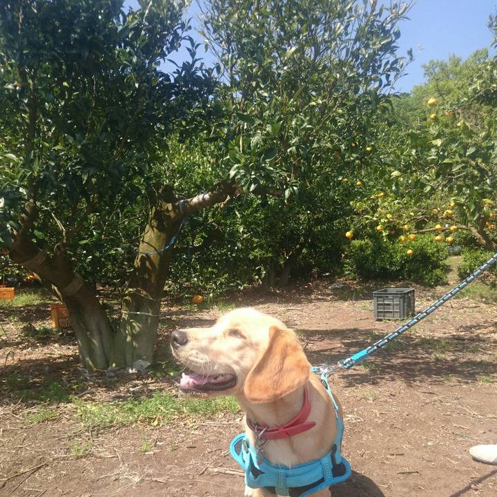 3194067c 5861 48c5 9649 eed7e07f0eeb