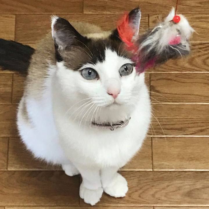 319533cc 363b 4478 8a61 8b98c5b93384