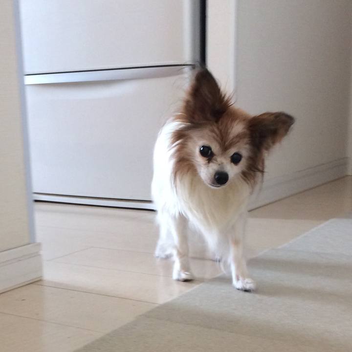 319595f7 5ec3 4725 b45f 9e04fc270cd8