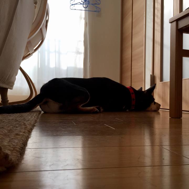 31961ec5 4c52 48f7 815a bdeee7a8ea82