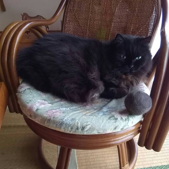 31964931 8e1c 4582 9b4e 3849ac8f57dd