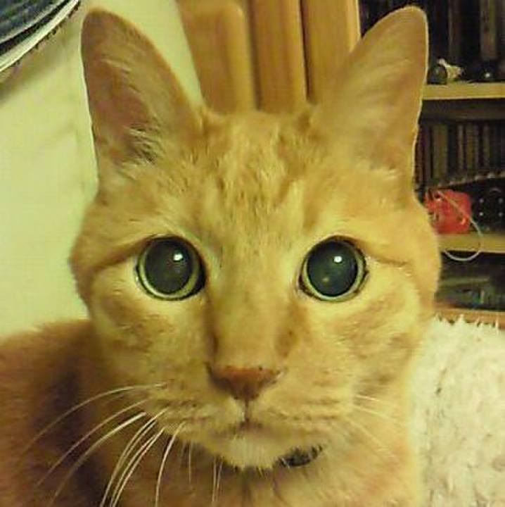 31968d59 7f51 4d35 8f74 cfbcdf630619