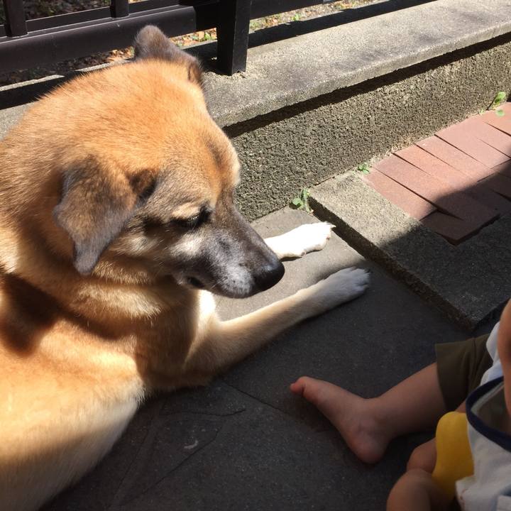 3197512f 1d5b 4a52 84fa ff24fa2b56e1