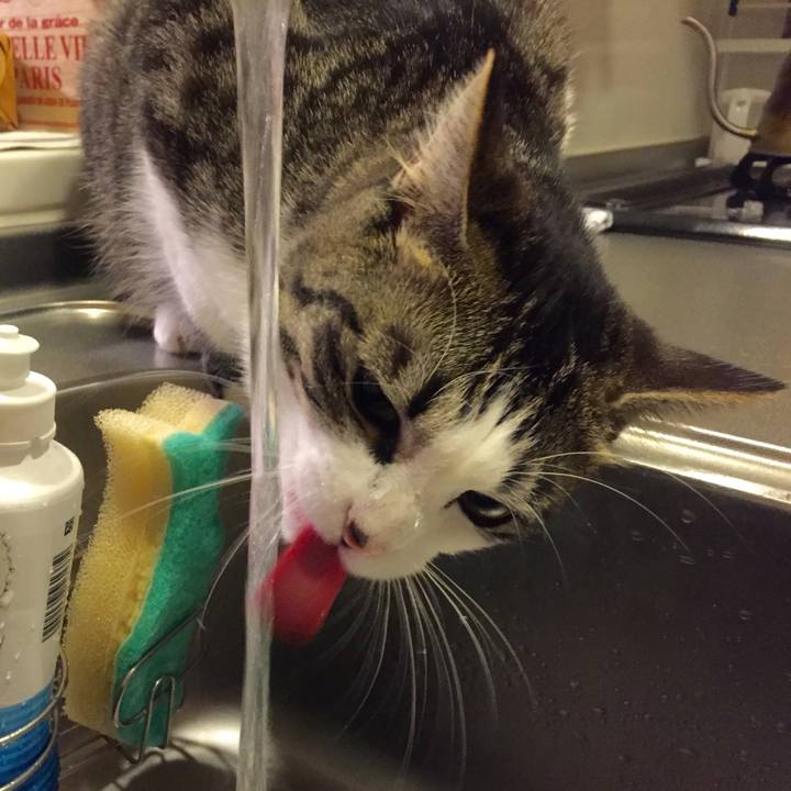 31981d7e 24a5 49e9 9f18 e261362020ec