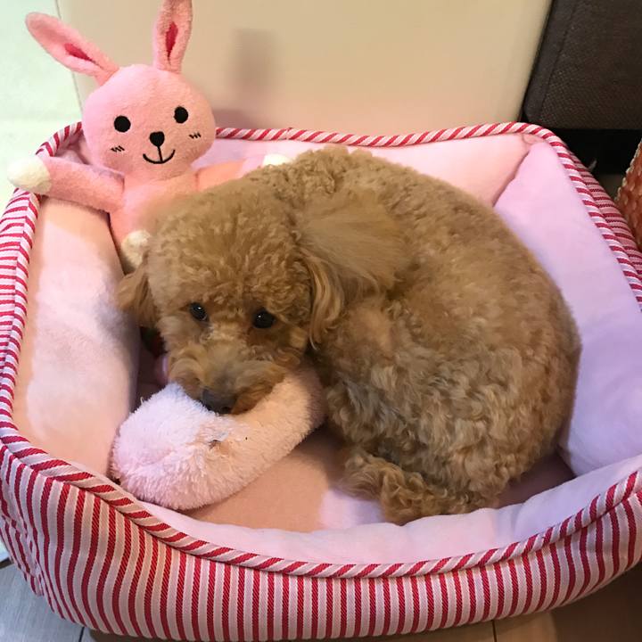 319820b9 4b94 4e3c 811d 61ef0d296244