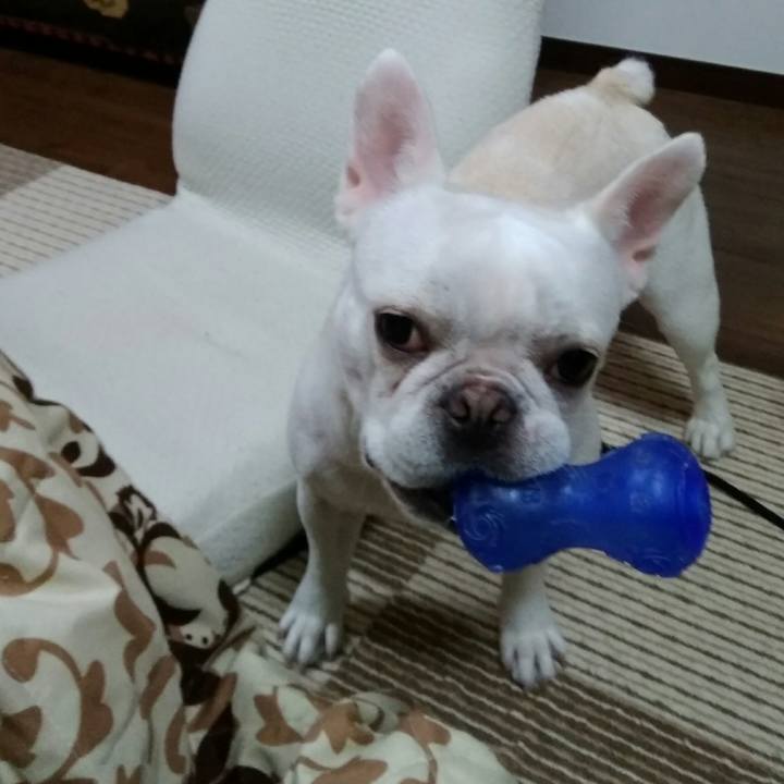 31985275 ef86 4217 9a36 c427caa78fb9