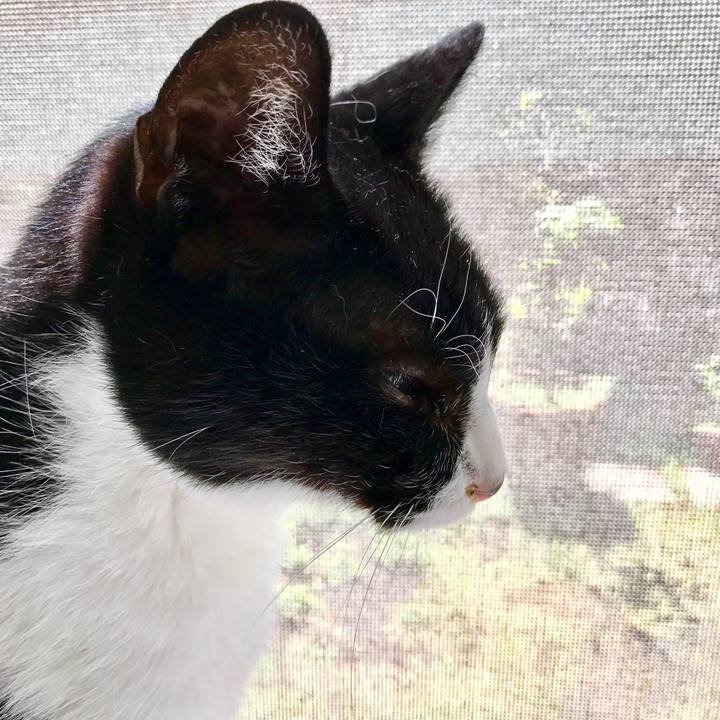 31991ba9 50d5 4d16 96d7 410b6ba80e02