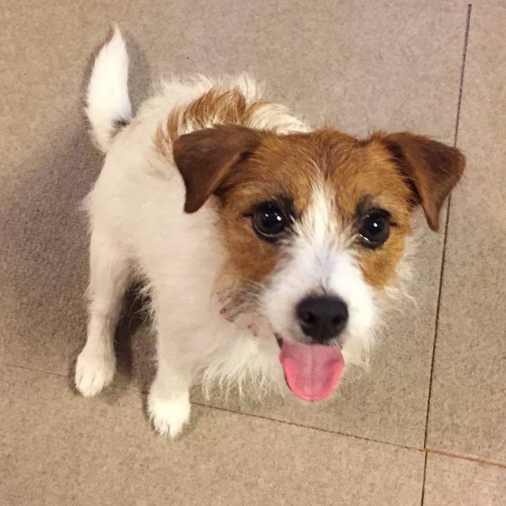 31994607 7315 400b 9341 f040d4ee66ab