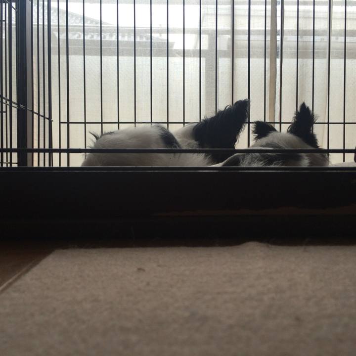 31997568 3abe 4a83 a1ff a33099bdce55