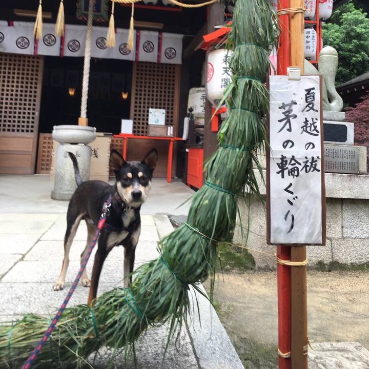 31997604 7fe5 4f1a 881c 4c28b5dc3ed7