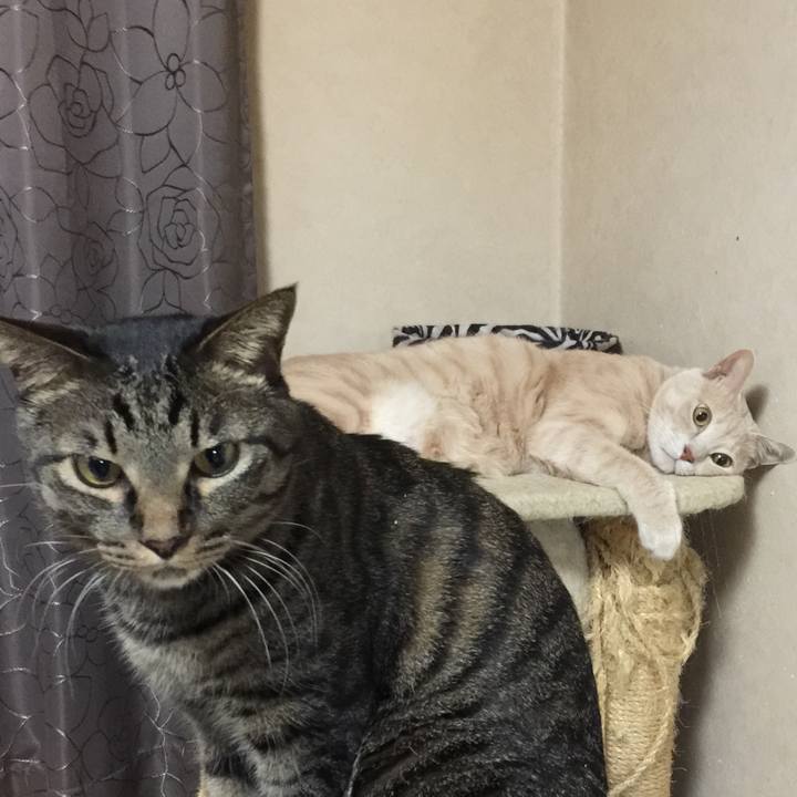 319a0f68 db4b 4f85 b681 f38f7729a515