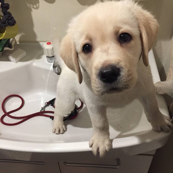 319ad4a0 6f1b 4716 b0a7 1258e45b38e8