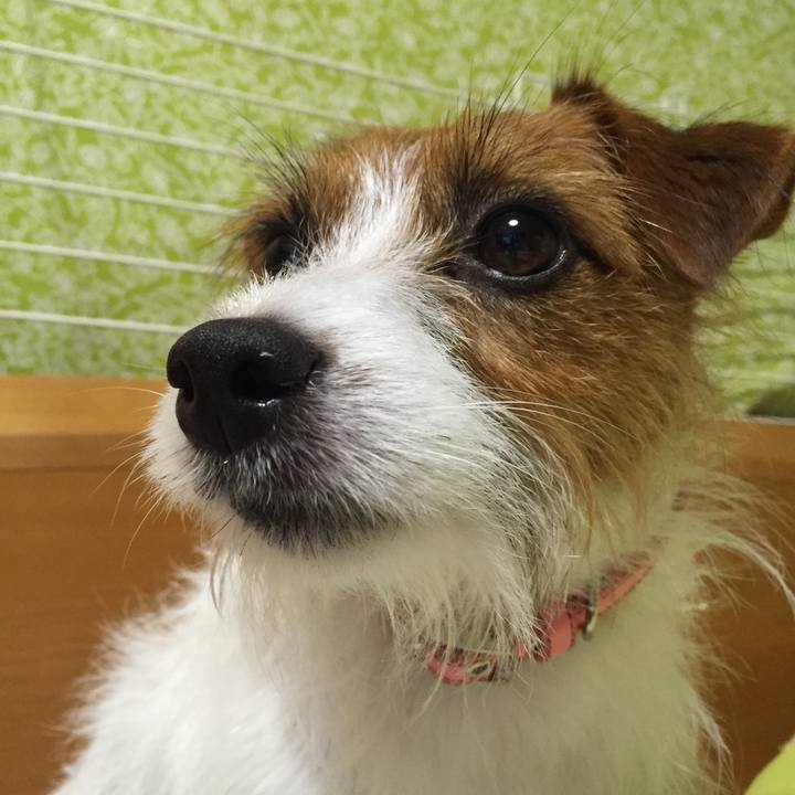 319b34d6 fe18 474e 8441 2a7f15f76cdc