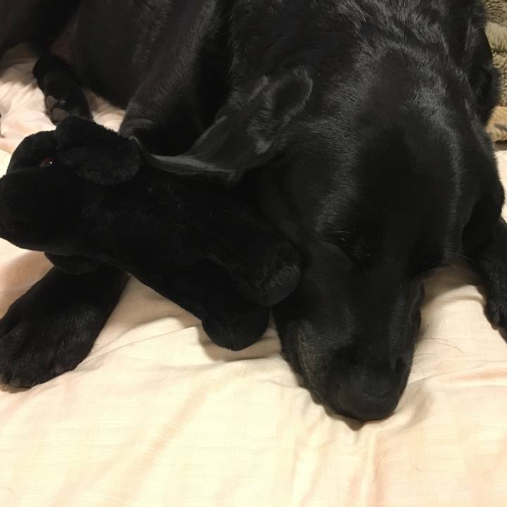 319b5f45 ab95 4926 b3d2 49e83eae6996