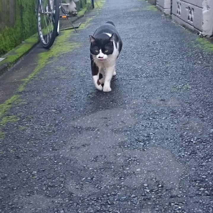 319c4f6f 1464 40e5 b3cb 3face36353ec