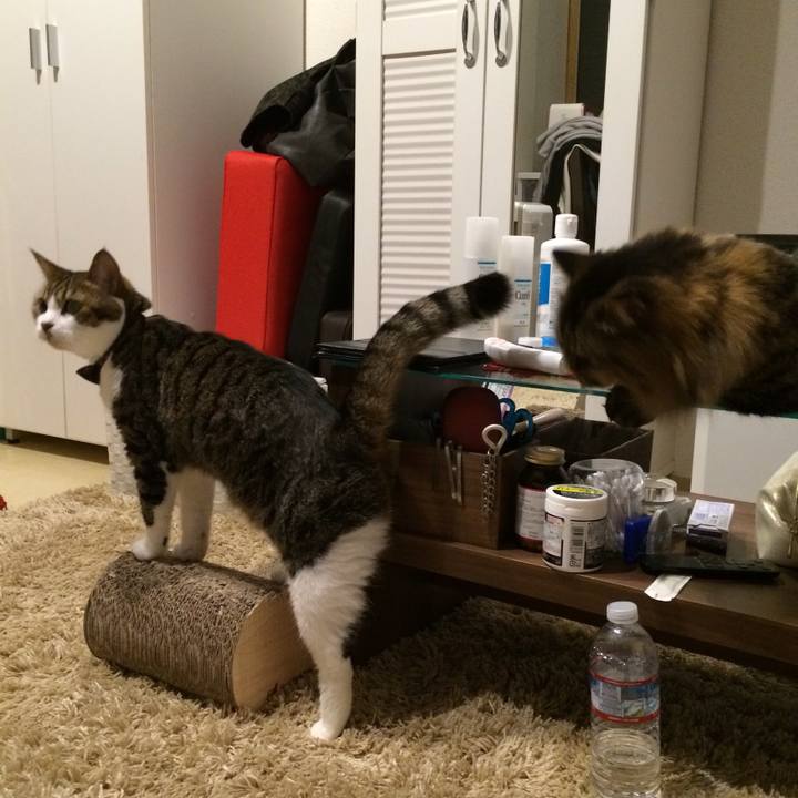 319d035c a30f 4d35 be0d ab93e1603d26