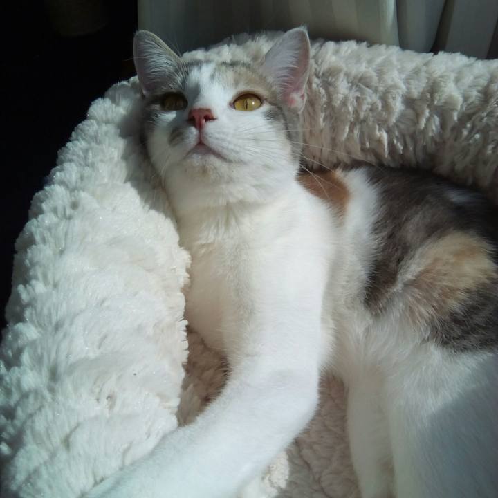 319d2c6f 1bc6 4bb7 bb58 6c7ab3dcd05b