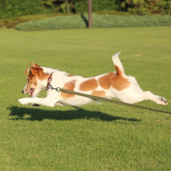 319df09a 6b87 4110 92cb 2a5c8bce6d34