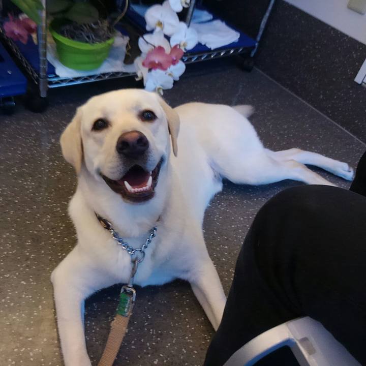 319e764f 7647 4602 832e 5304681dd6c3