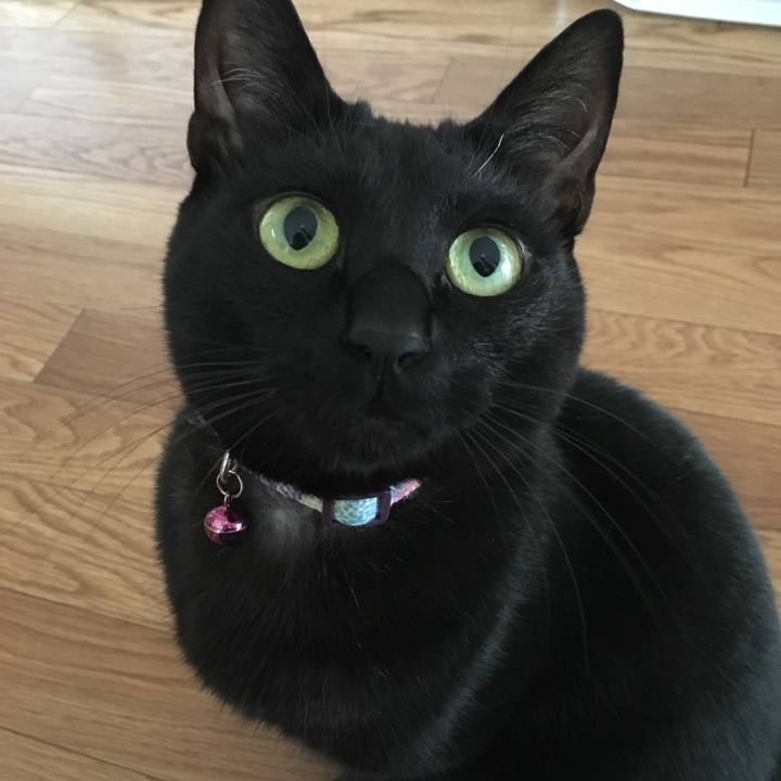 319ea52a 80cd 4308 8a94 f20e286e79b0