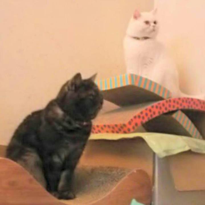 319ec98f ad2c 4127 84e0 a0873a93ff64