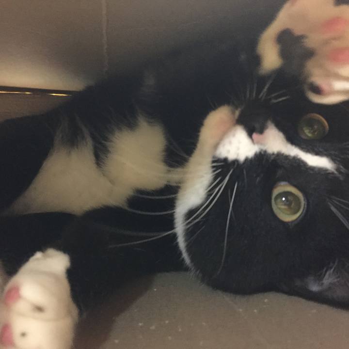 319edbfa d954 448b 9323 f186491fbded