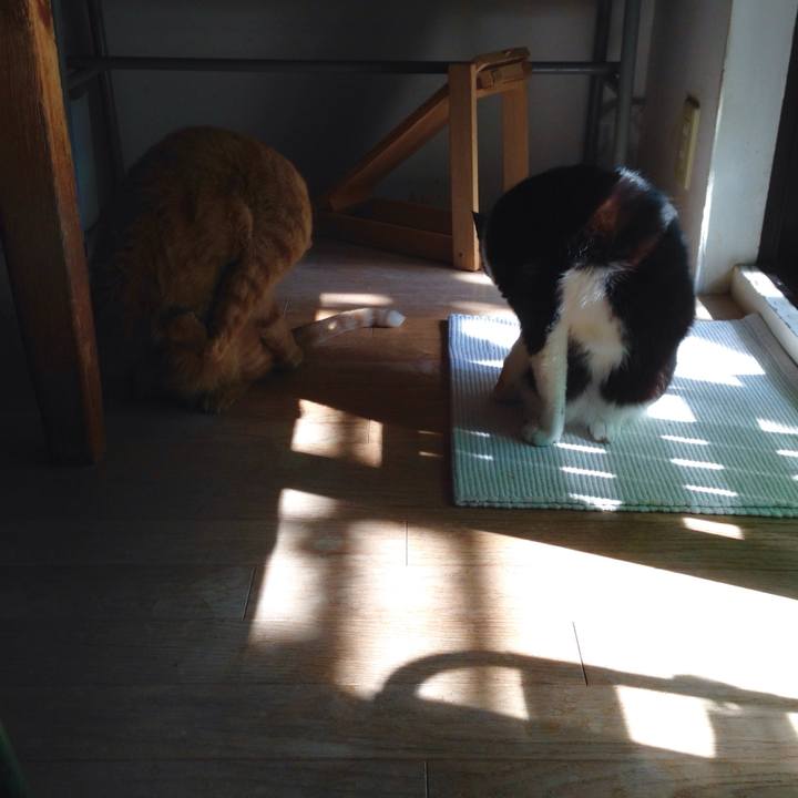 319ee4d5 74b0 4c74 a985 985815b77f44