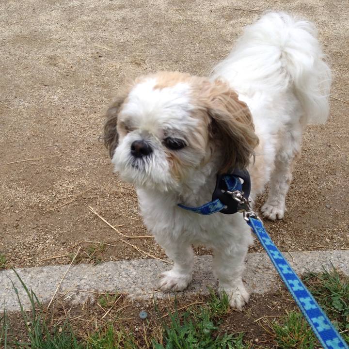 319f4b99 69ba 4837 bd42 3a3911d00b45