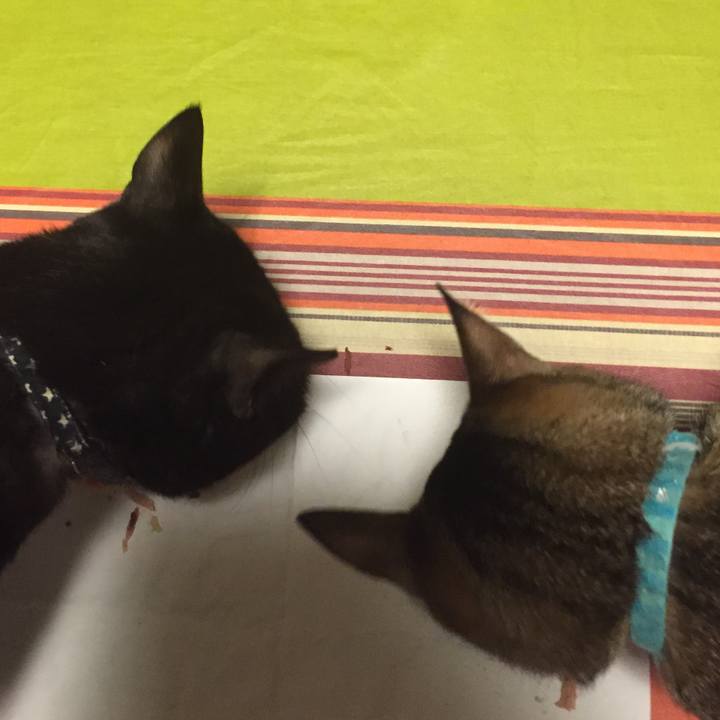 319f5fc2 72f1 4aec a3c8 37e6d59b56e0