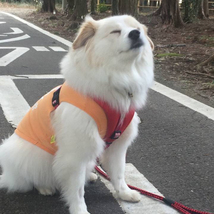 31a0b914 16e7 489e 8878 83714c9d1a32