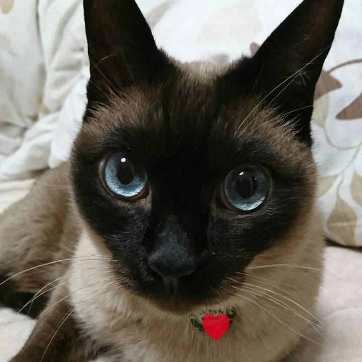 31a11df1 4fcb 47f7 8b10 3c53a134d93f