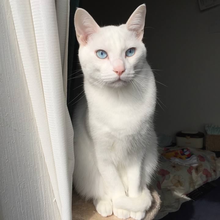 31a1956e 36c1 4f2e be8b fbb9791fb202